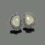 Classic Stud Earrings with Clear Crystals