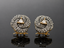 Rose Spiral Crystal Studs