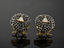 Rose Spiral Crystal Studs