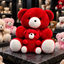 Two red-and-white teddy bears, with a larger seated bear behind a smaller matching bear featuring a heart detail.